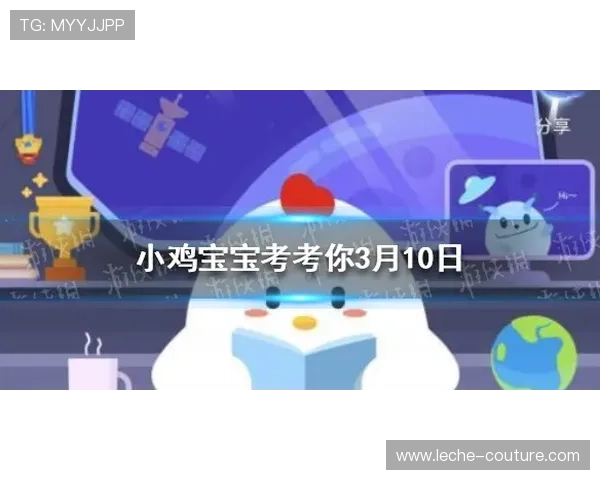 ag视讯官网首页操作指南，帮助新手快速上手，轻松享受每一场精彩比赛